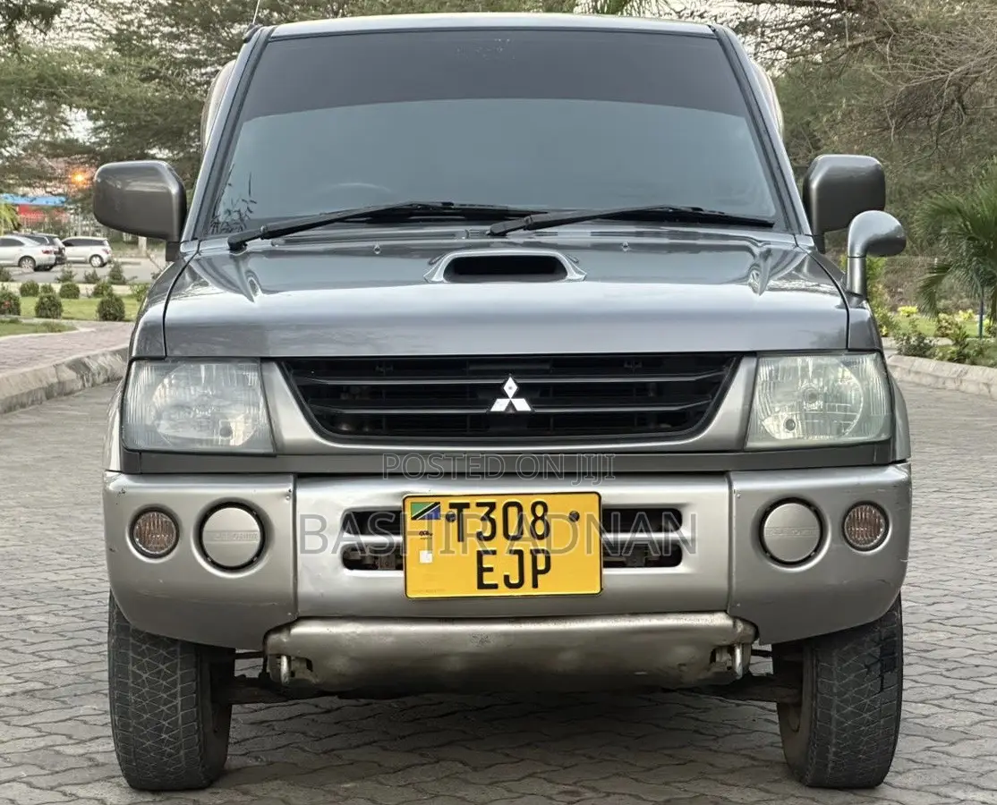 Mitsubishi Pajero 2007 Gray