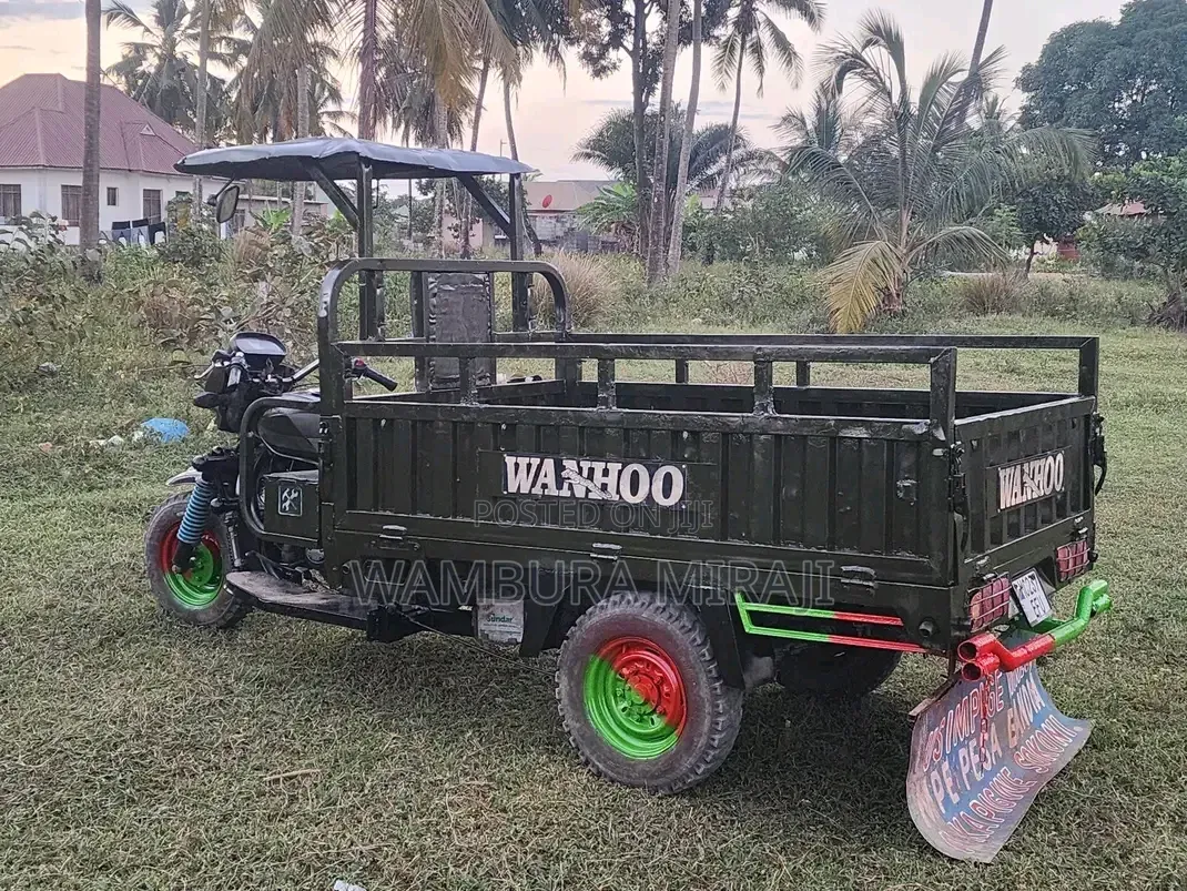 Bajaj 2025 Green