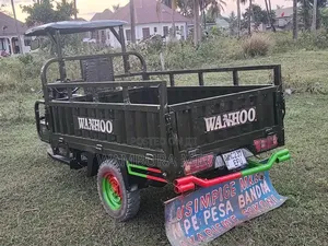 Bajaj 2025 Green