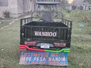 Bajaj 2025 Green