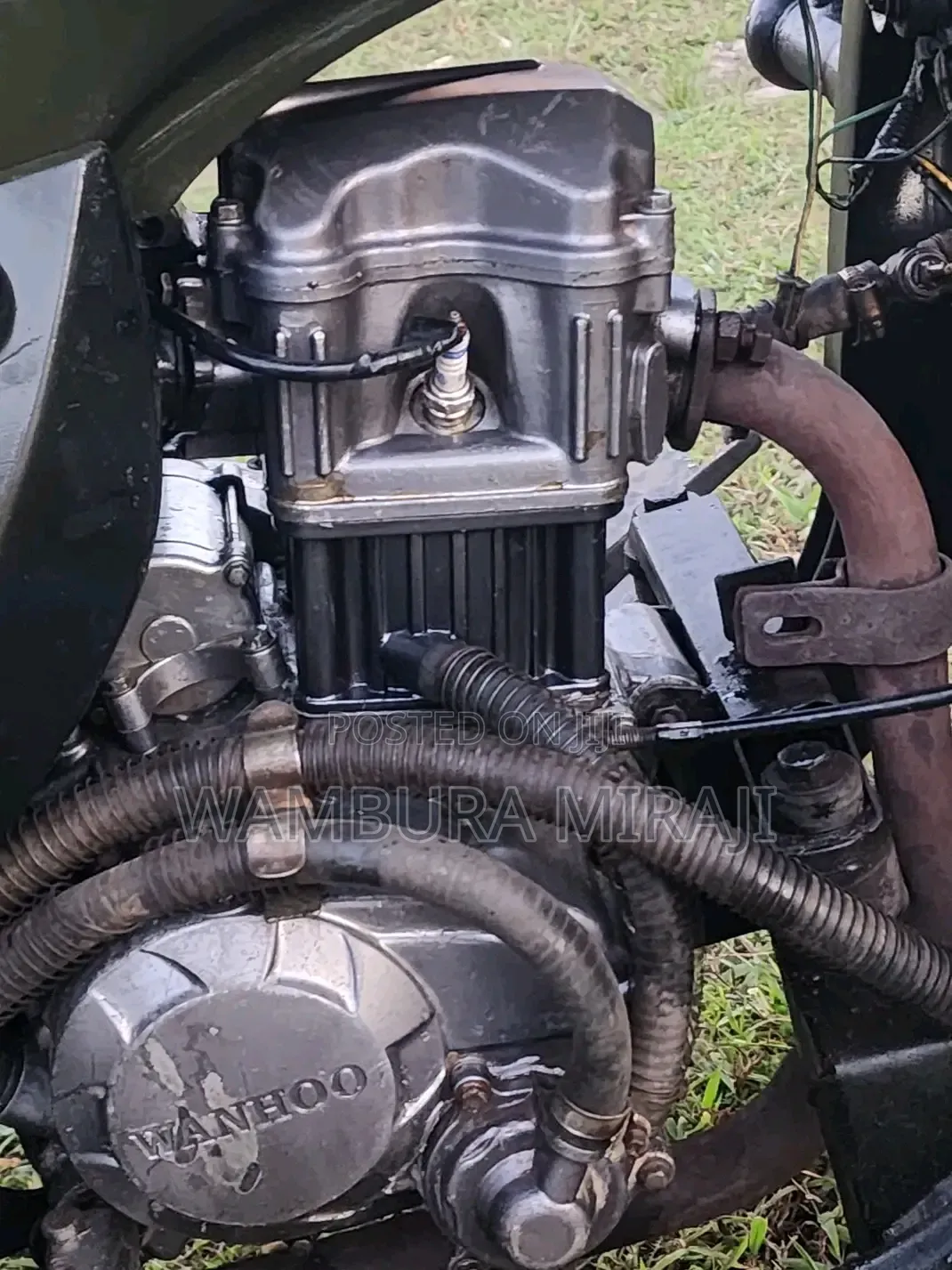 Bajaj 2025 Green