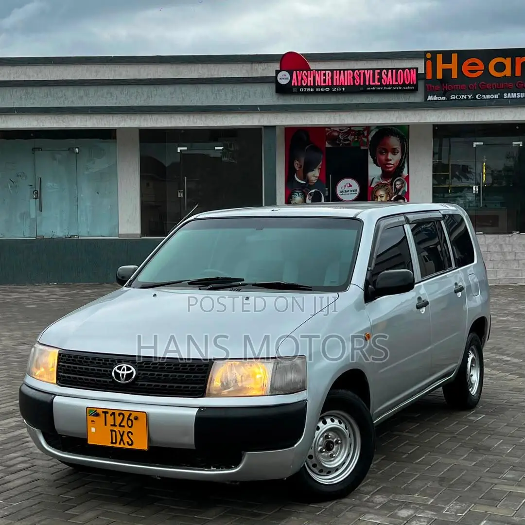 Toyota Probox 2004 Silver