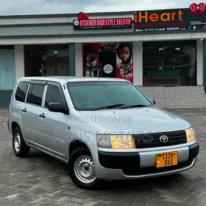 Toyota Probox 2004 Silver
