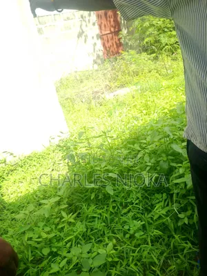 Furnished 10bdrm House in Bwera, Ilala for sale