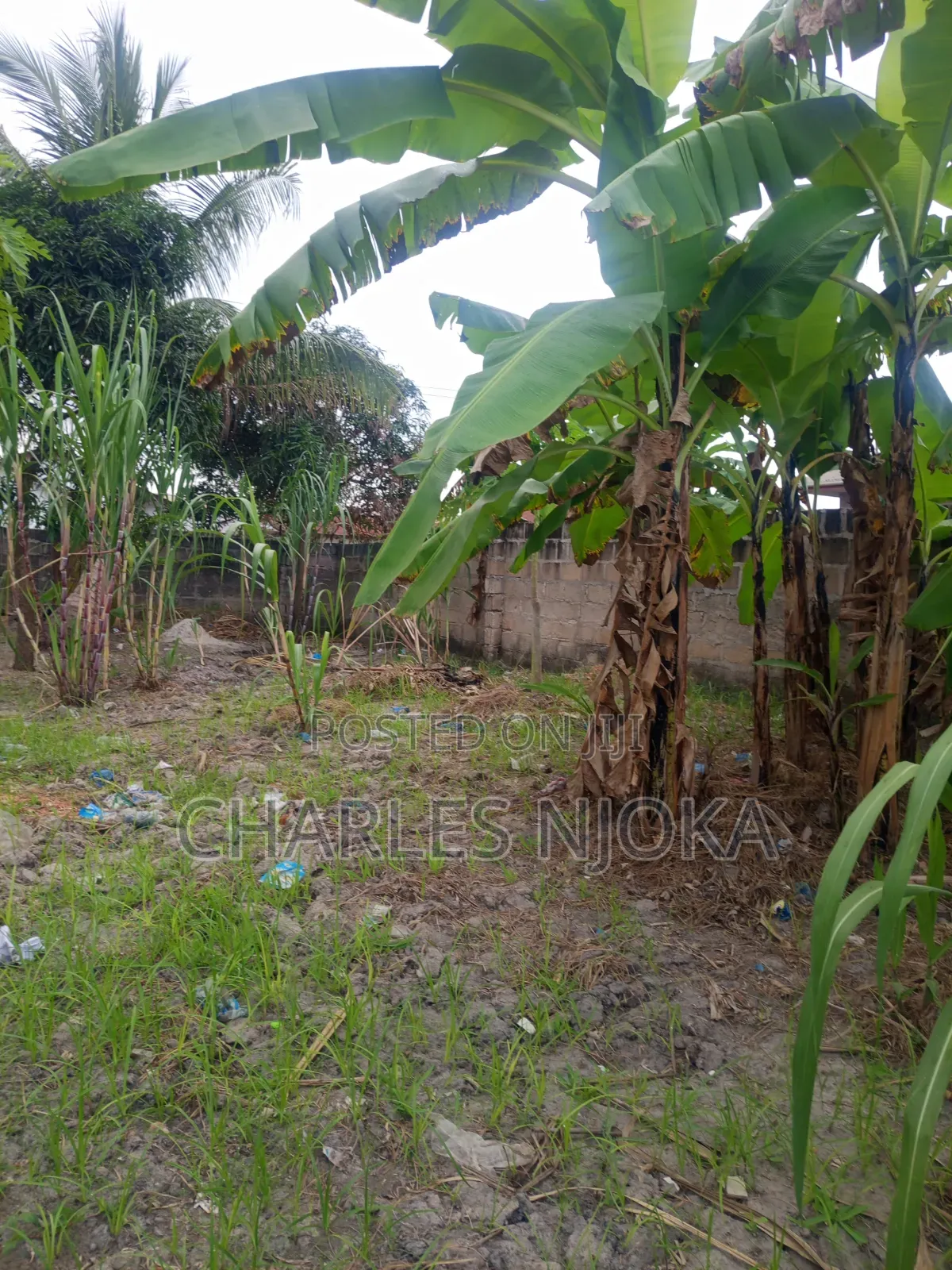 Furnished 18bdrm Apartment in Rada Chuo, Ilala for sale