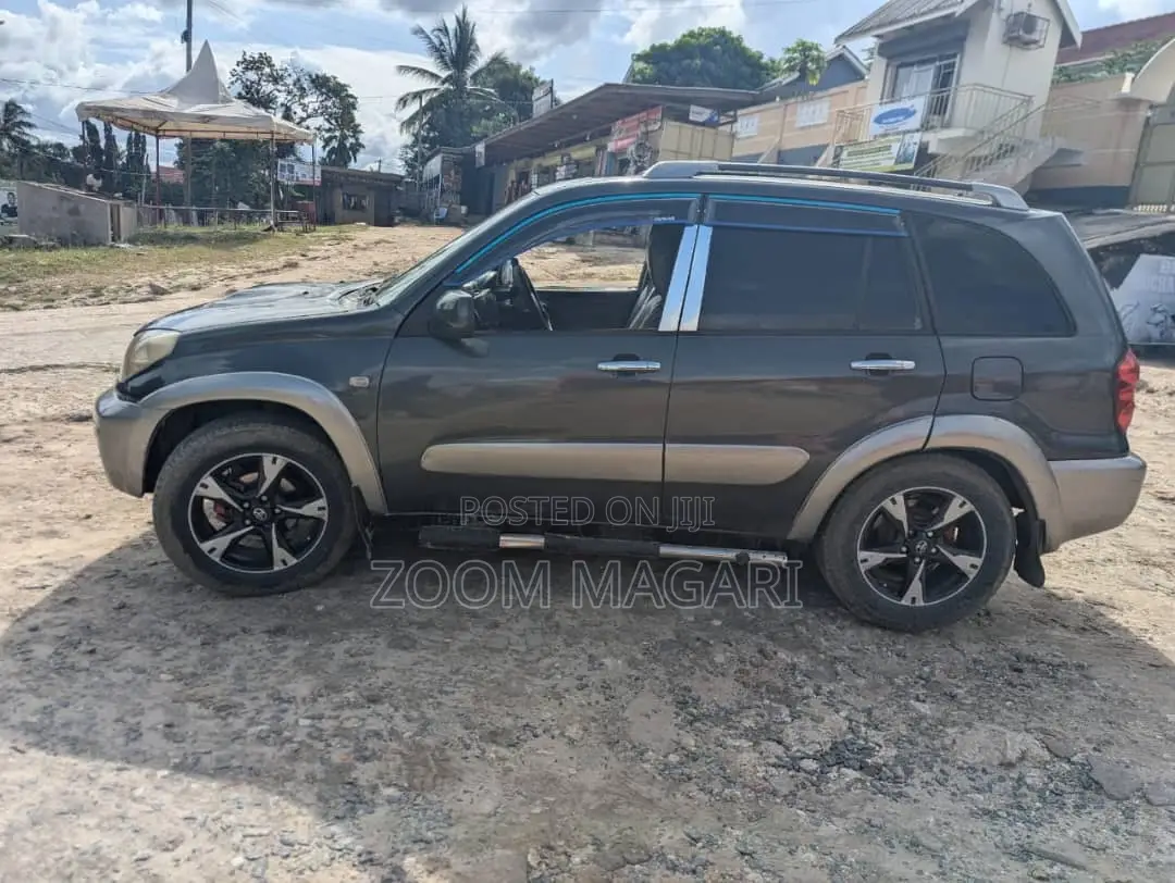 Toyota RAV4 2006 Gray