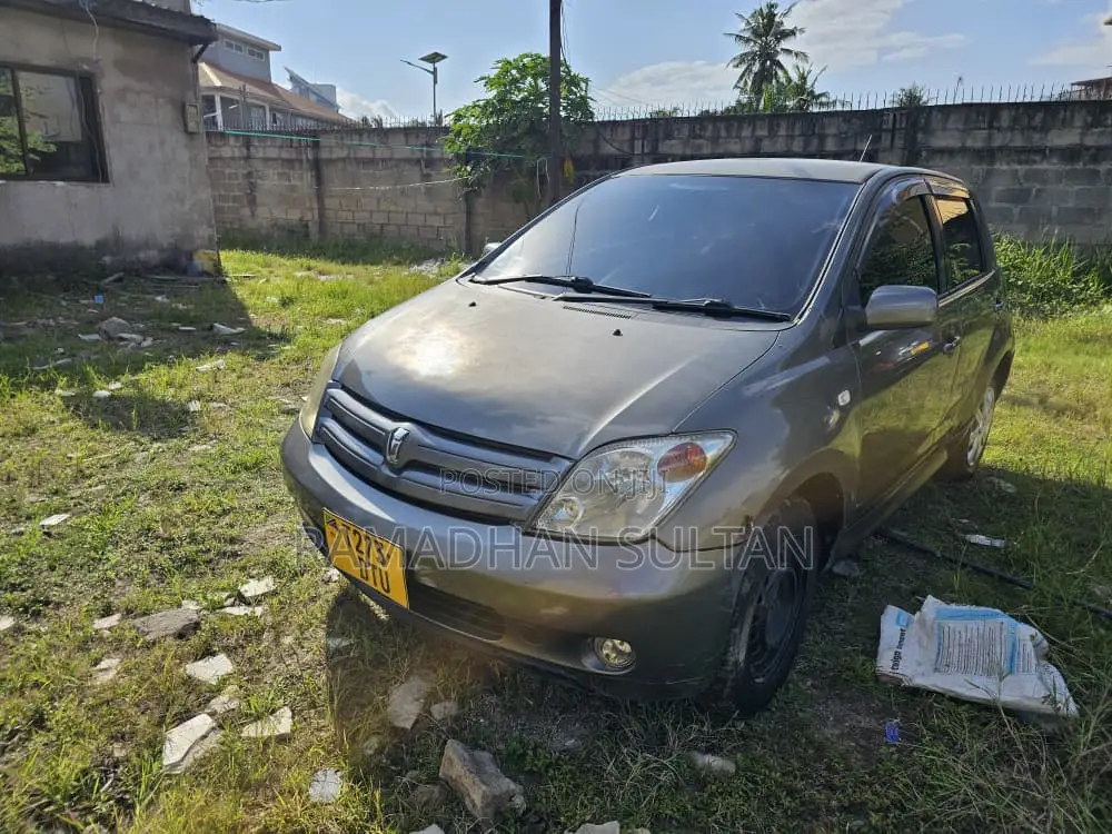 Toyota IST 2005 Gray