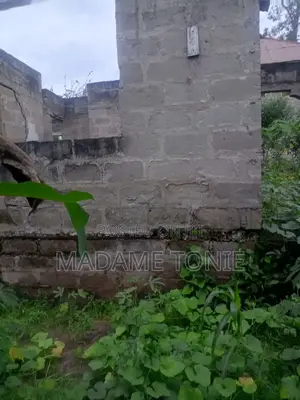 Boma Na Kiwanja Kikubwa Bei Miln 55