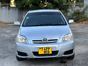 Toyota Corolla RunX 2004 Silver