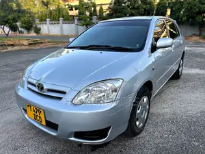 Toyota Corolla RunX 2004 Silver