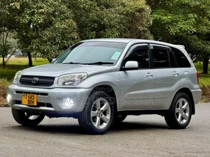 Toyota RAV4 2006 Silver