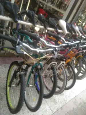 Mountain Bicycle