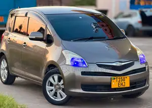 Toyota Ractis 2006 Gray