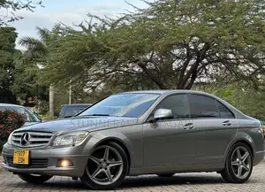 Mercedes-Benz C-Class 2009 Gray