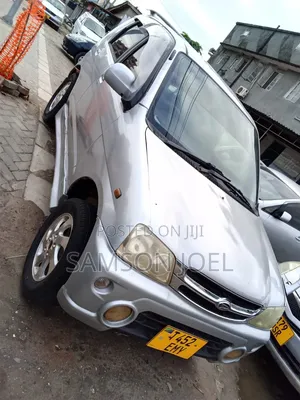 Daihatsu Terios 2006 Silver