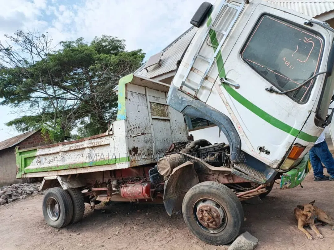 Mitsubishi Truck 2004 White