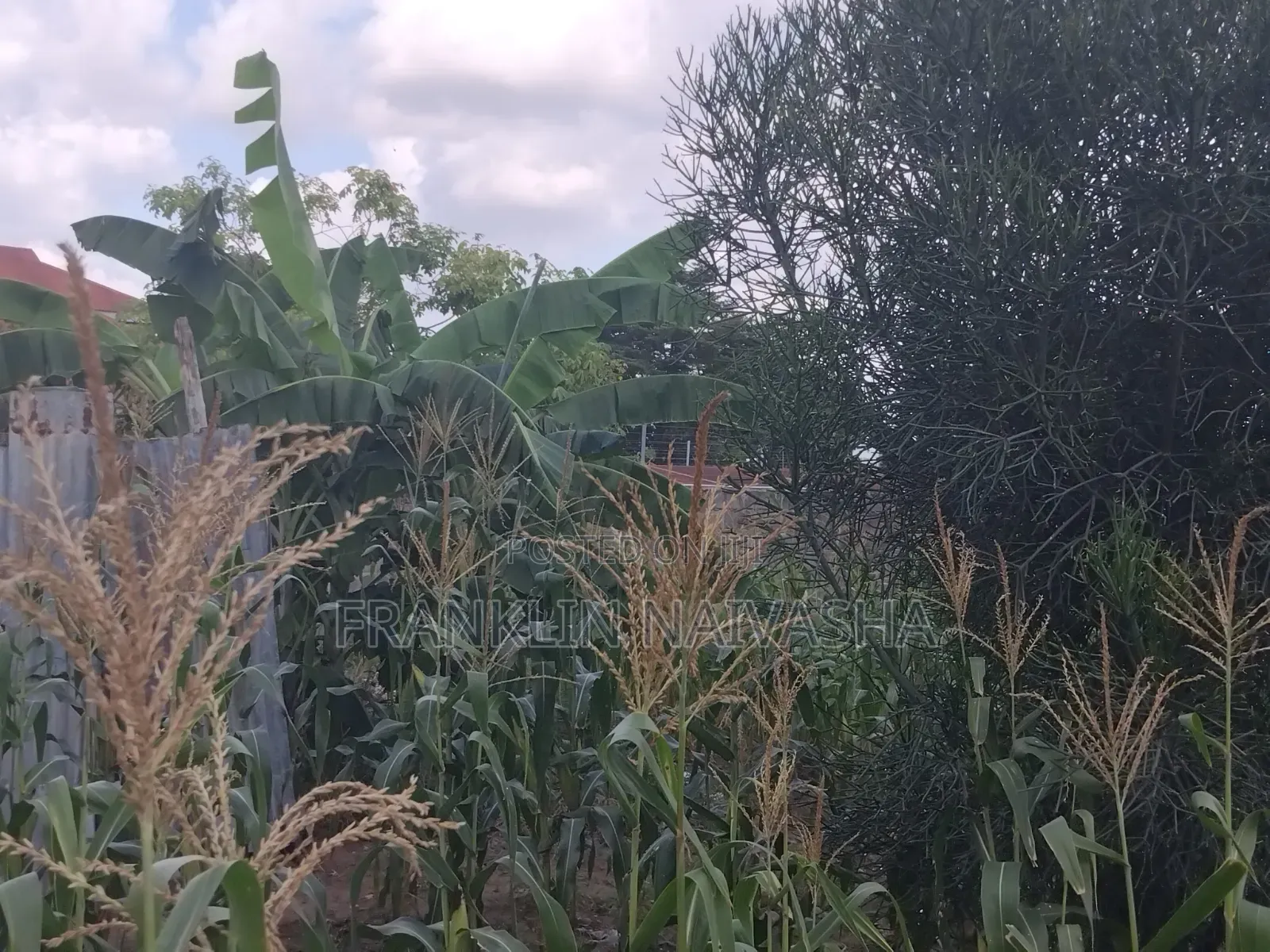 Kiwanja (Plot) Kinauzwa Ipo Mbweni Malindi Estate, Dar Es Salaam