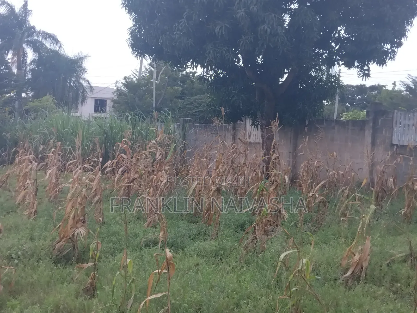 Kiwanja (Plot) Kinauzwa Ipo Mbweni Malindi Estate, Dar Es Salaam