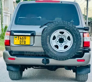 Toyota Land Cruiser 100 4.2 2006 Gray