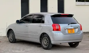 Toyota Allex 2005 Silver