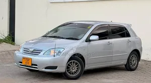 Toyota Allex 2005 Silver