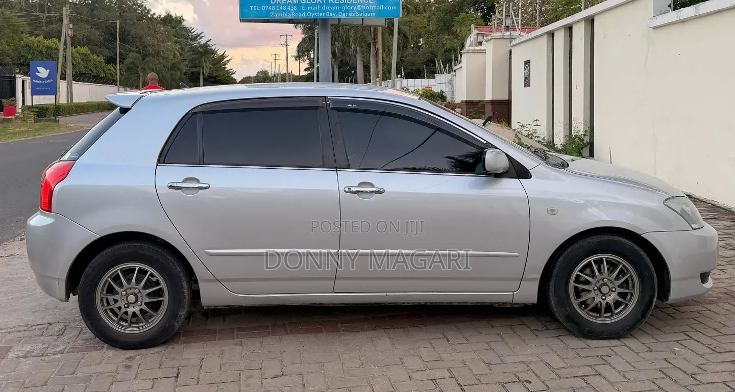 Toyota Allex 2005 Silver