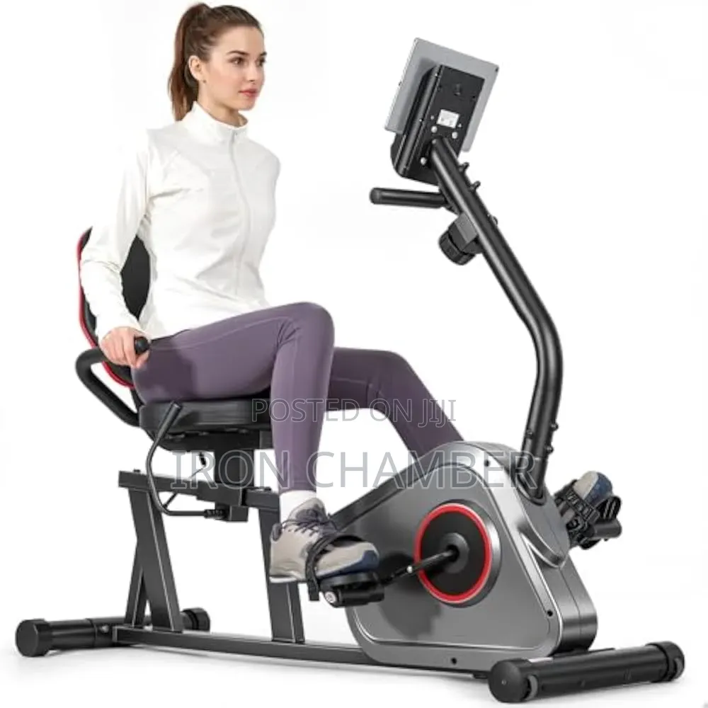 Recumbent Exercise Bike.