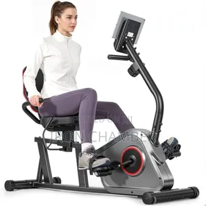 Recumbent Exercise Bike.