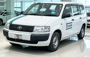 Toyota Probox 2013 White
