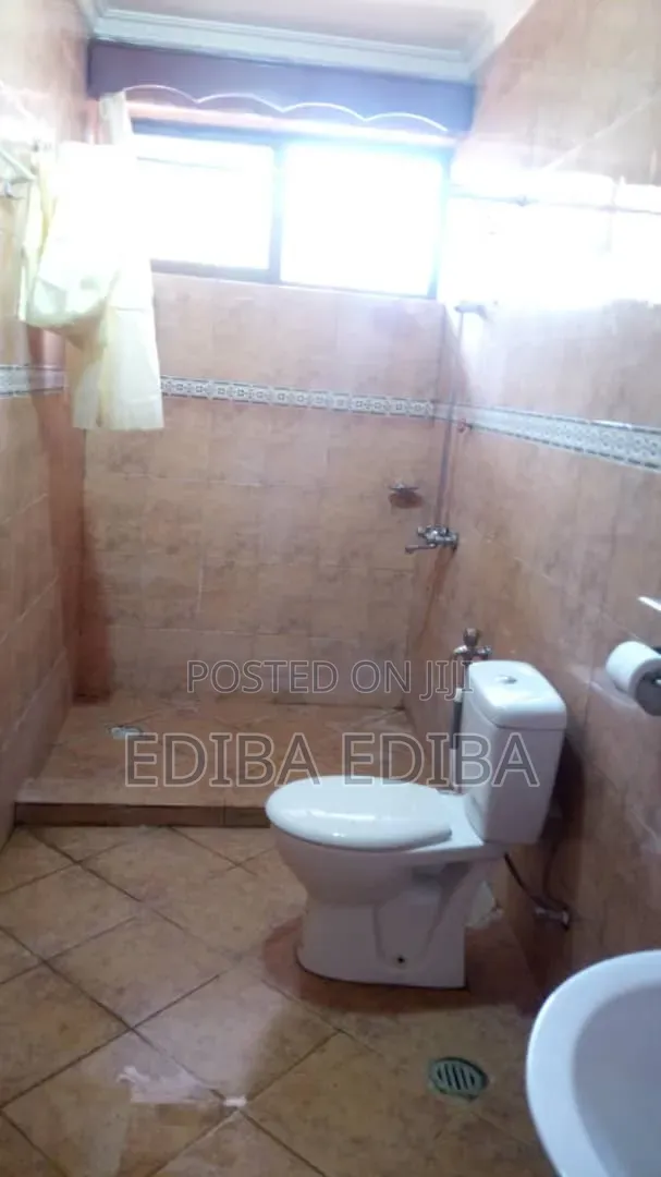 9bdrm House in Ediba Real Estate, Njiro for rent