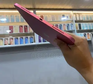 New Tablet 256 GB Pink