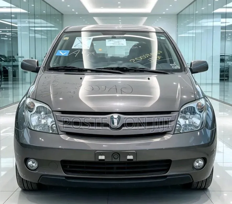 Toyota IST 2004 Gray