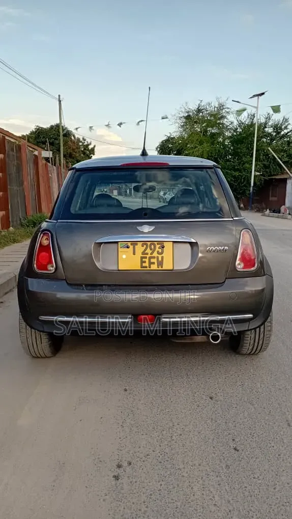 Mini Cooper 2007 Gray
