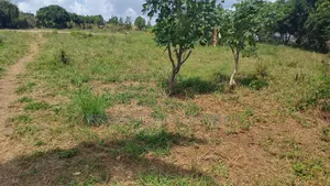 Plot Area SQM 4260 for Sale at Madale Msigani