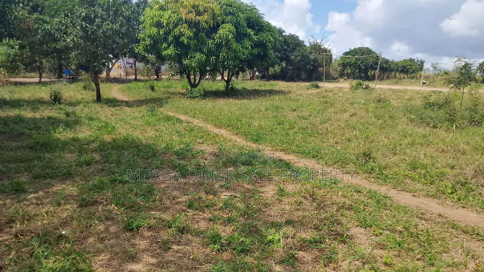 Plot Area SQM 4260 for Sale at Madale Msigani