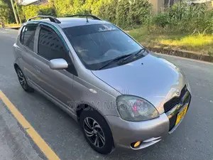 Toyota Vitz 2001 Gray