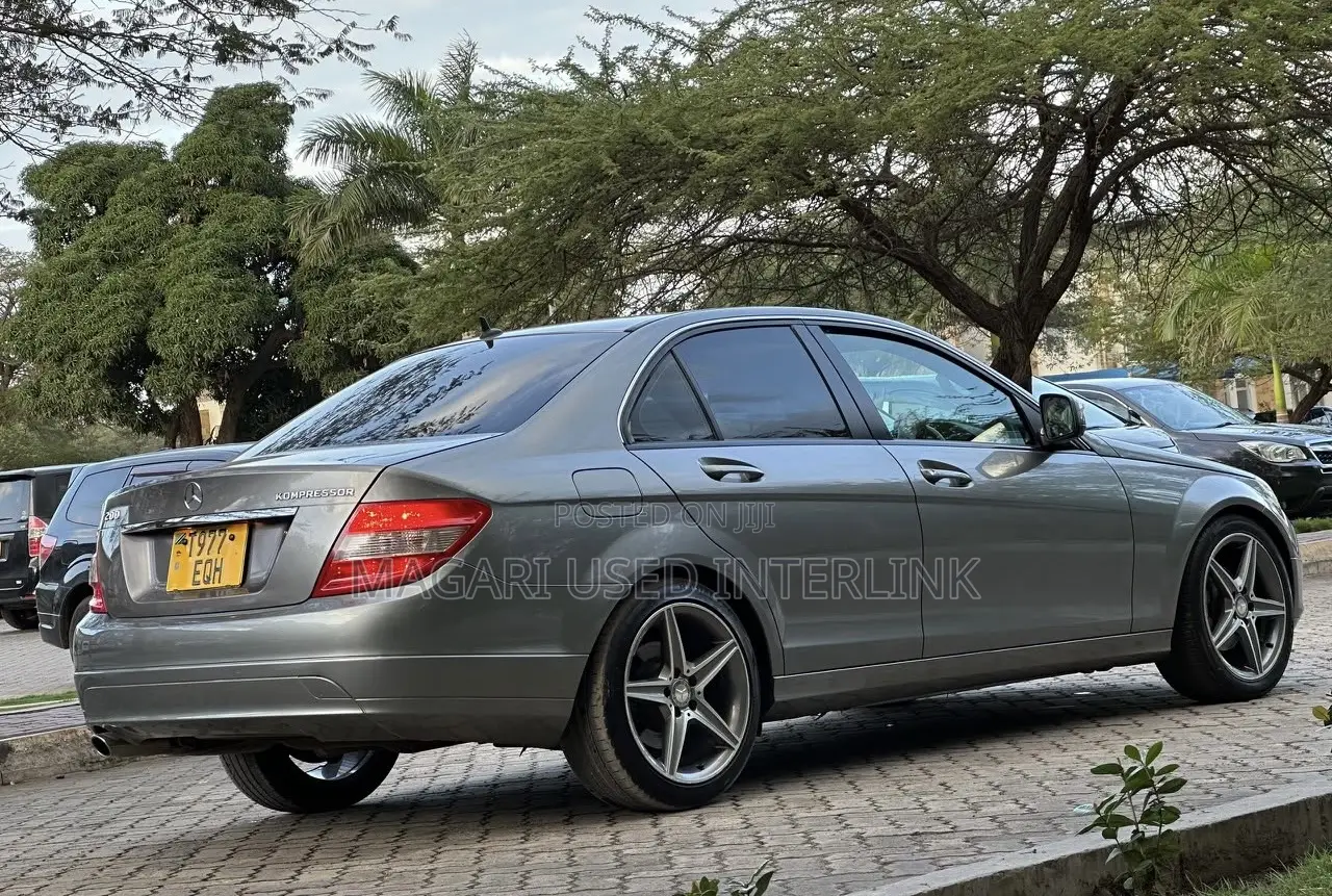 Mercedes-Benz C-Class 2009 Gray