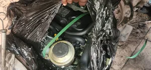 Nissan Engine. Injini Za Nissan Td27 Qd32 Zd30 Yd25