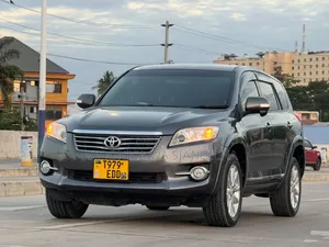 Toyota Vanguard 2010 Gray