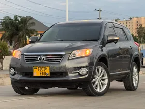 Toyota Vanguard 2010 Gray