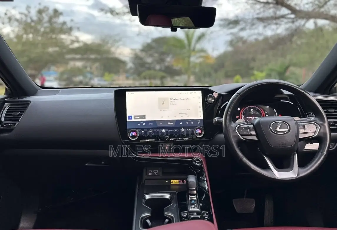 Lexus NX 2022 Gray