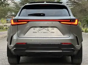Lexus NX 2022 Gray