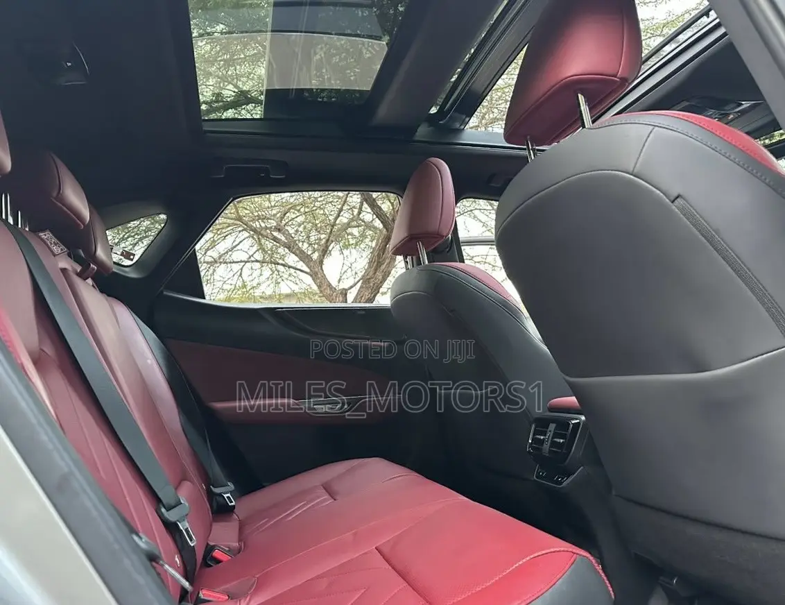 Lexus NX 2022 Gray