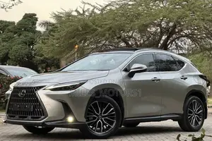 Lexus NX 2022 Gray