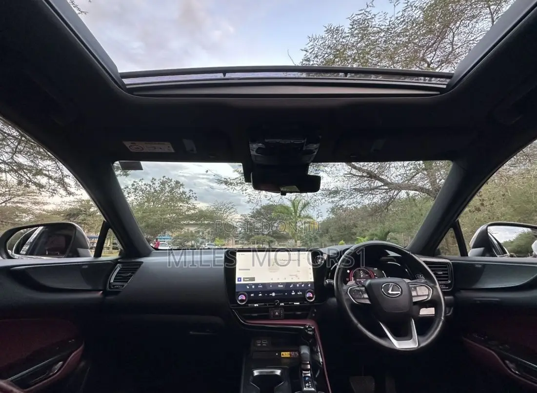 Lexus NX 2022 Gray