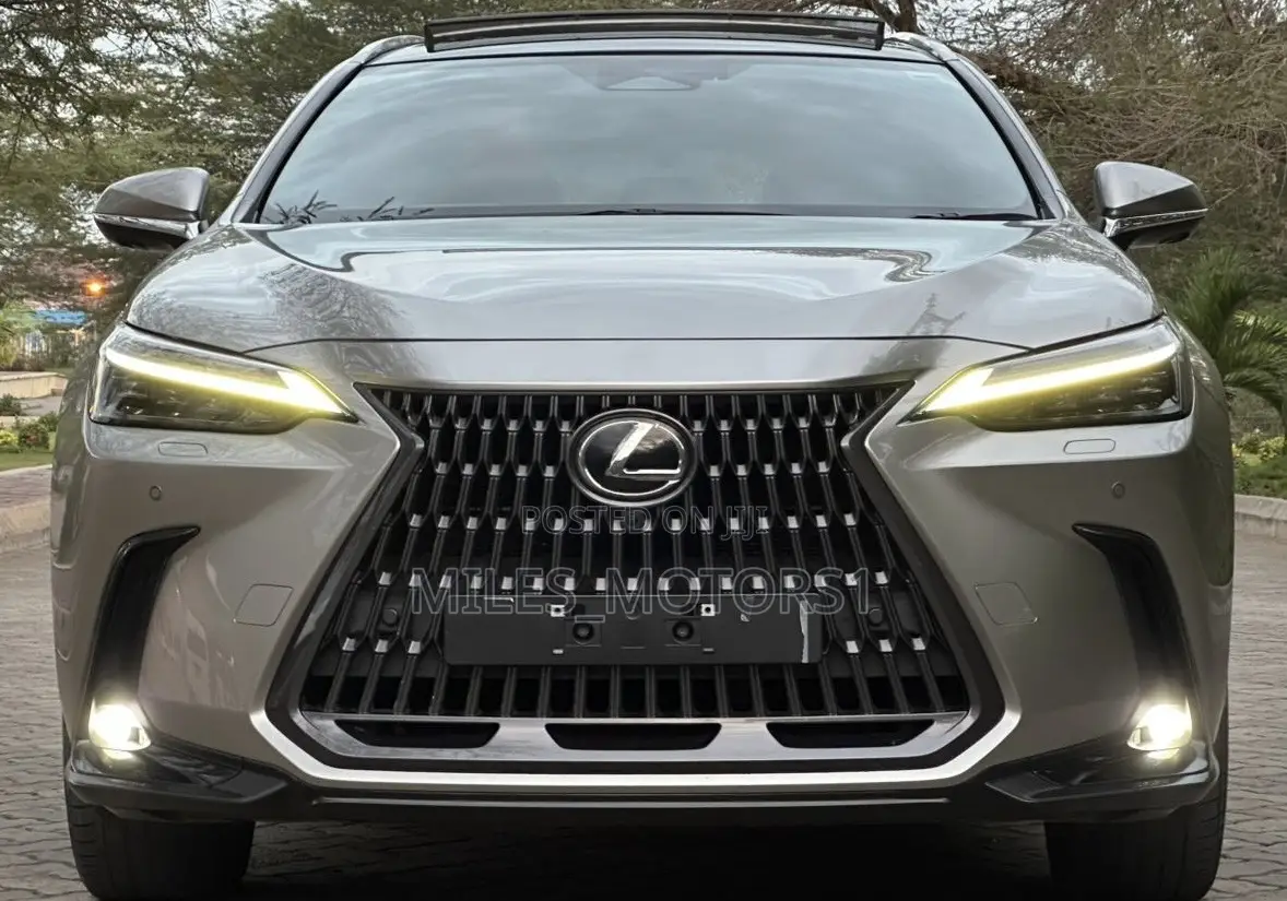 Lexus NX 2022 Gray