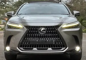 Lexus NX 2022 Gray