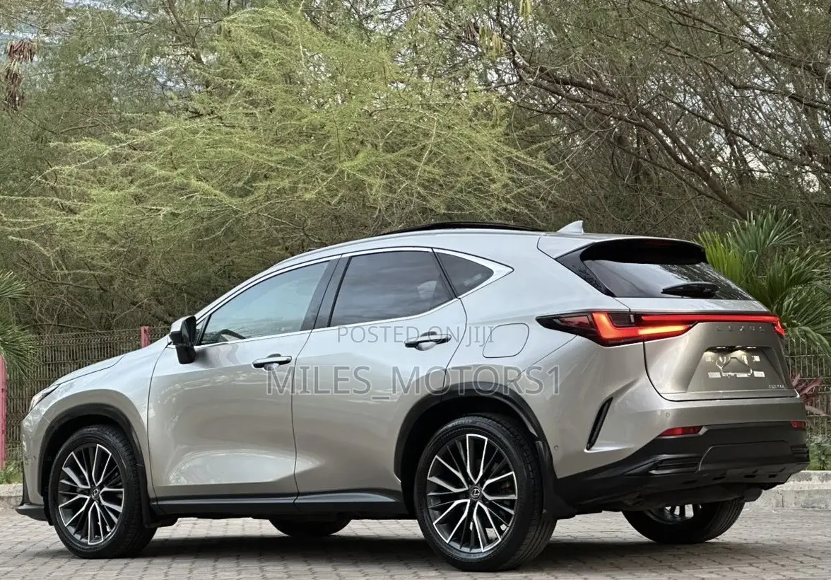 Lexus NX 2022 Gray