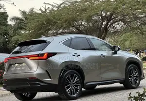 Lexus NX 2022 Gray