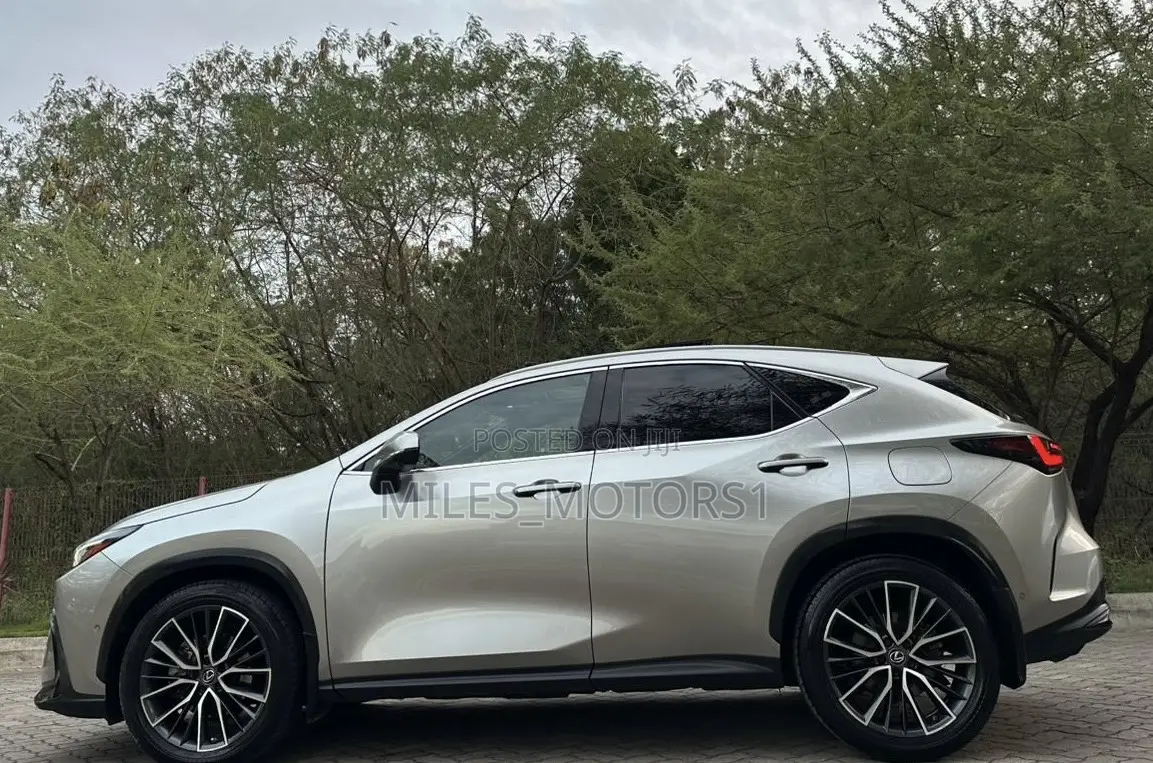 Lexus NX 2022 Gray